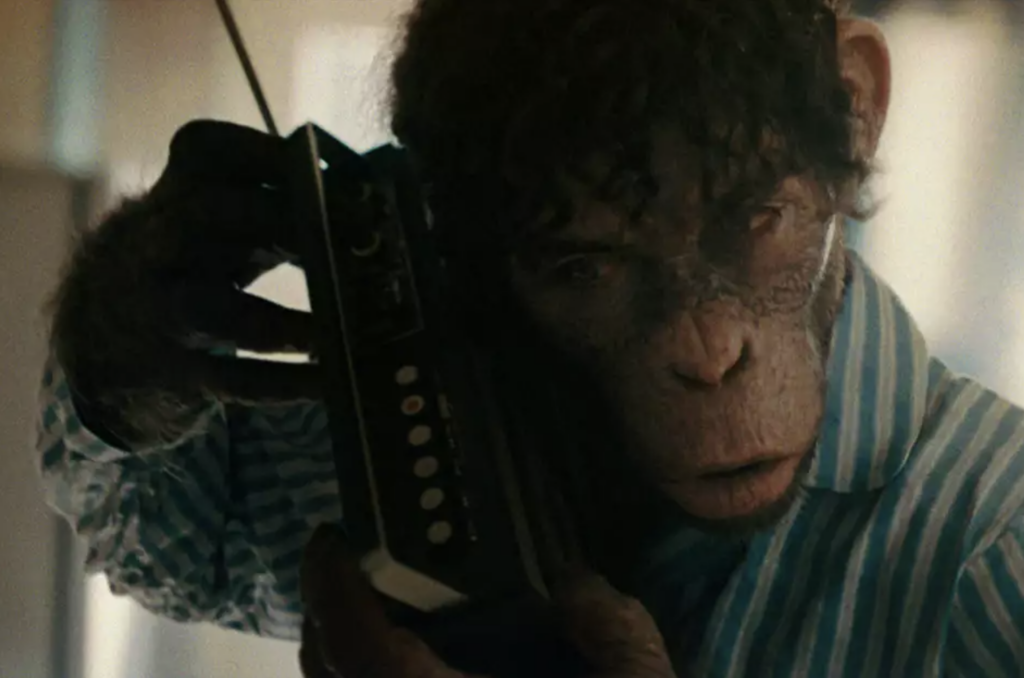 Screenshot 2025-12-25 o 19.56.54