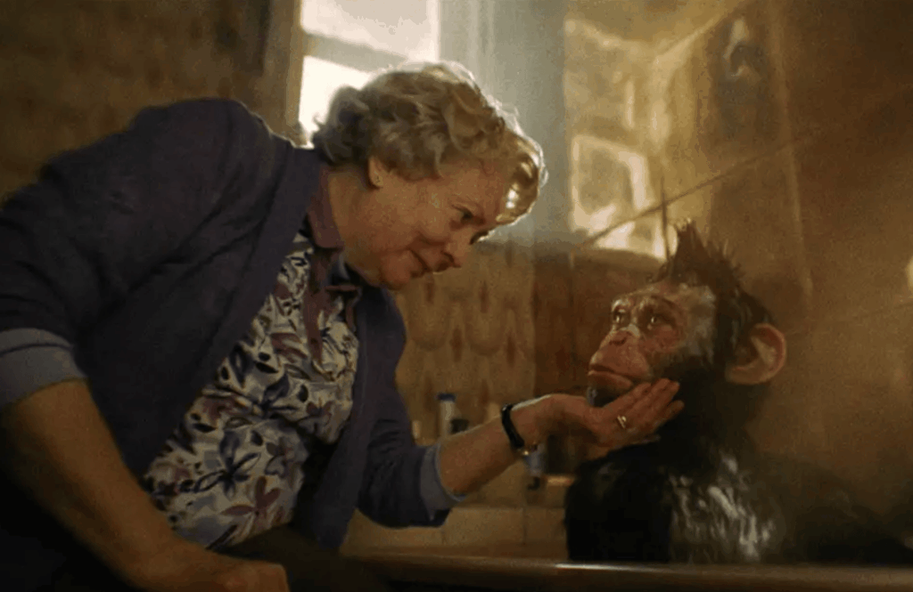 Screenshot 2025-12-25 o 19.57.20